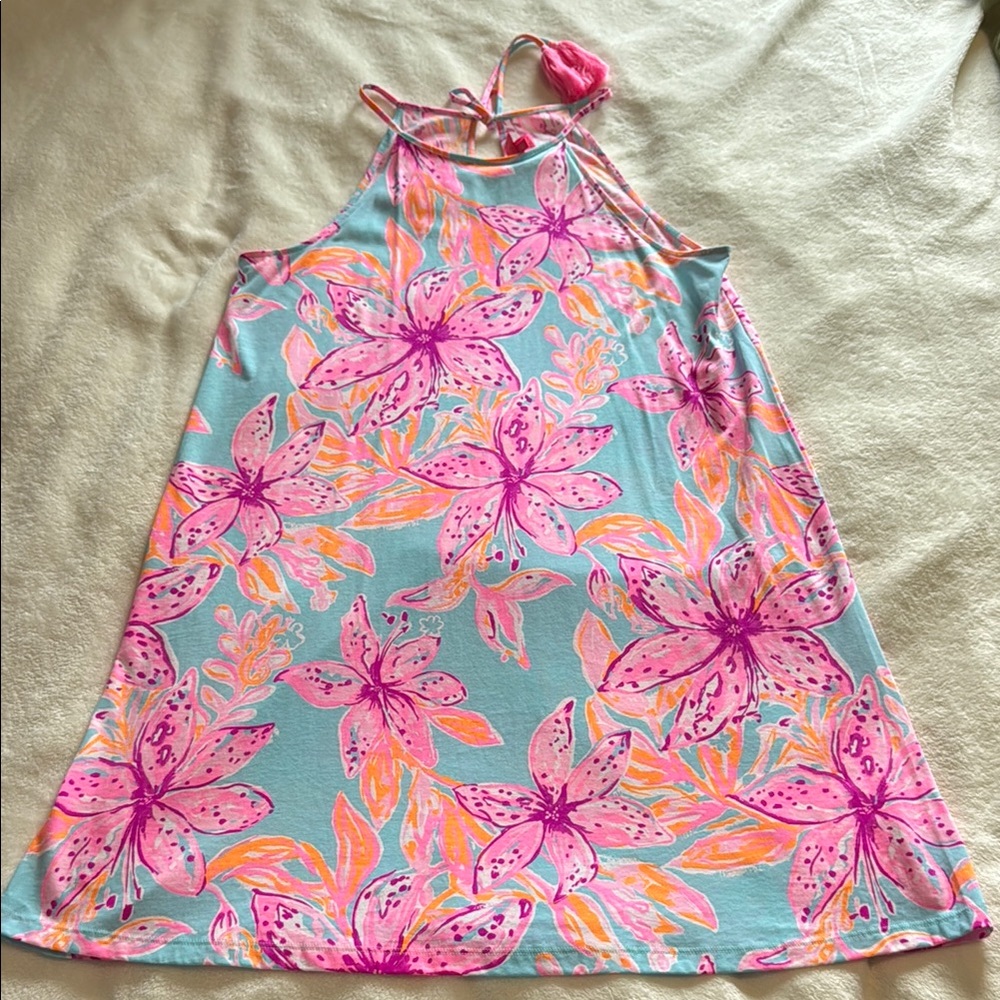 Lilly Pulitzer Pink and Blue Floral Dress